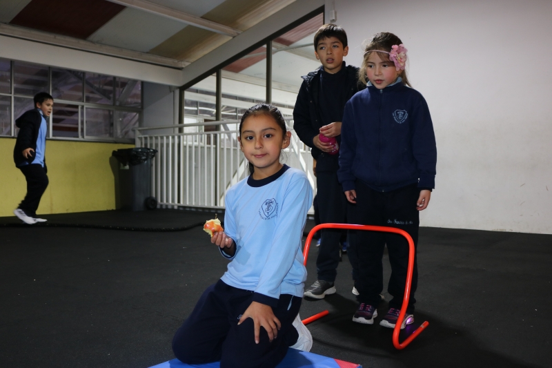 Día de la Actividad Física